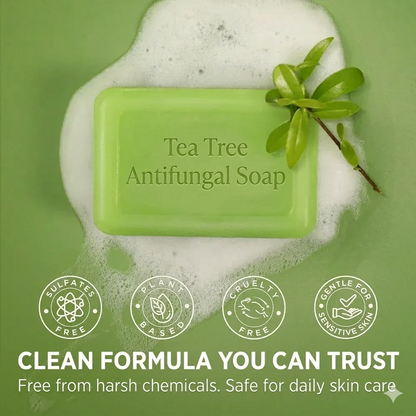 The Japanese AntiFungal Relief Soap Bar